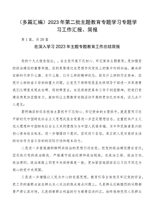 （多篇汇编）2023年第二批主题教育专题学习专题学习工作汇报、简报.docx