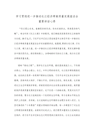 学习贯彻进一步推动长江经济带高质量发展座谈会重要讲话心得.docx