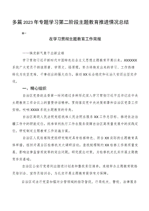 多篇2023年专题学习第二阶段主题教育推进情况总结.docx