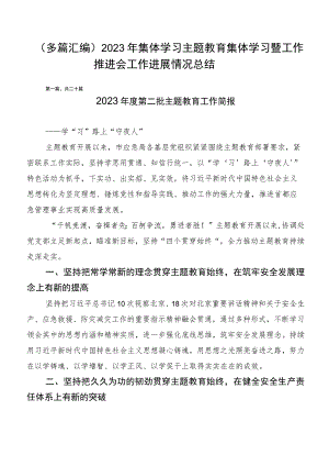 （多篇汇编）2023年集体学习主题教育集体学习暨工作推进会工作进展情况总结.docx