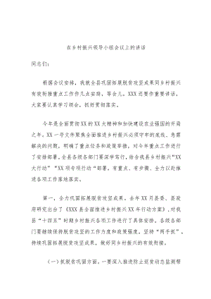 在乡村振兴领导小组会议上的讲话.docx