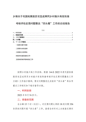 乡镇关于巩固拓展脱贫攻坚成果同乡村振兴有效衔接考核评估反馈问题整改“回头看”工作的总结报告.docx