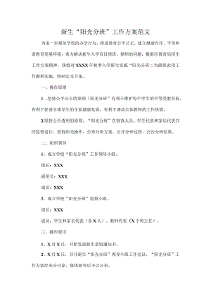 新生“阳光分班”工作方案范文.docx