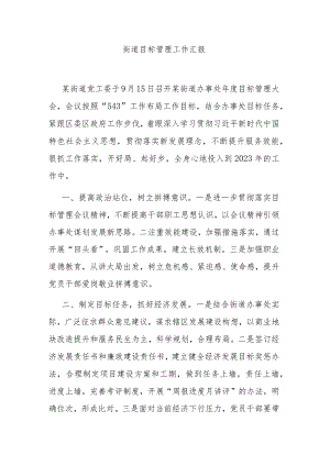 街道目标管理工作汇报.docx