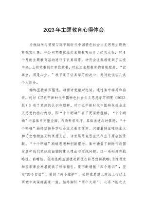 公司党员干部学习2023年主题教育心得体会九篇.docx