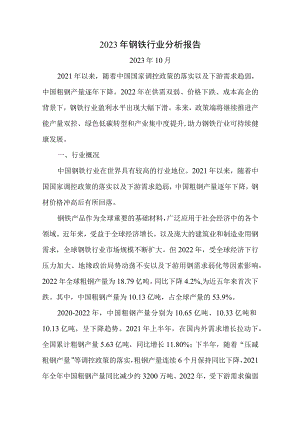 2023年钢铁行业分析.docx