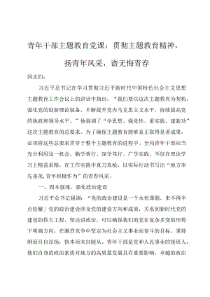 青年干部主题教育党课：贯彻主题教育精神扬青年风采谱无悔青春.docx