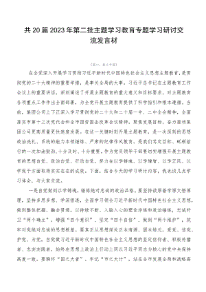 共20篇2023年第二批主题学习教育专题学习研讨交流发言材.docx