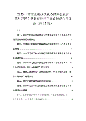 2023年树立正确政绩观心得体会发言稿与开展主题教育践行正确政绩观心得体会（共15篇）.docx