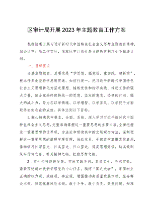 区审计局开展2023年主题教育工作方案.docx