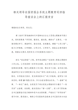 相关领导在国资国企系统主题教育巡回指导座谈会上的汇报发言.docx