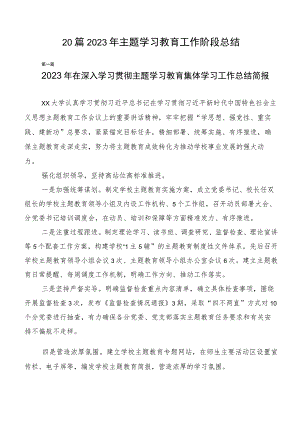 20篇2023年主题学习教育工作阶段总结.docx