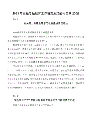 2023年主题专题教育工作情况总结的报告共20篇.docx