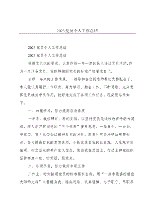 2023党员个人工作总结.docx