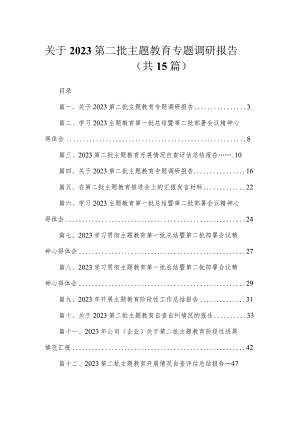 15篇关于2023第二批主题教育专题调研报告.docx