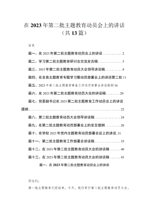 在2023年第二批主题教育动员会上的讲话【13篇】.docx