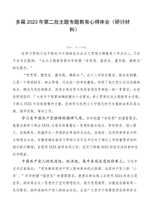 多篇2023年第二批主题专题教育心得体会（研讨材料）.docx