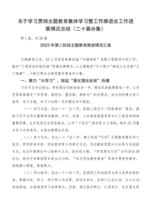 关于学习贯彻主题教育集体学习暨工作推进会工作进展情况总结（二十篇合集）.docx