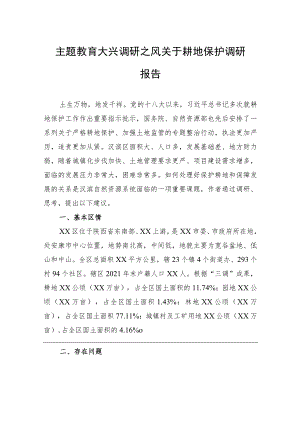 主题教育大兴调研之风关于耕地保护调研报告.docx