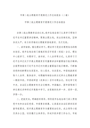 市第二批主题教育开展情况工作总结报告(二篇).docx