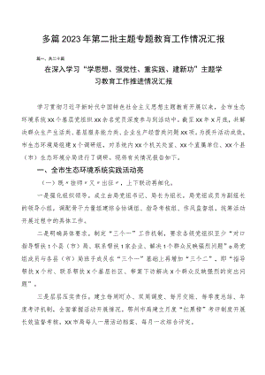 多篇2023年第二批主题专题教育工作情况汇报.docx