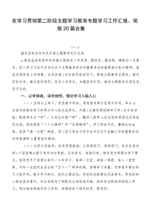 在学习贯彻第二阶段主题学习教育专题学习工作汇报、简报20篇合集.docx