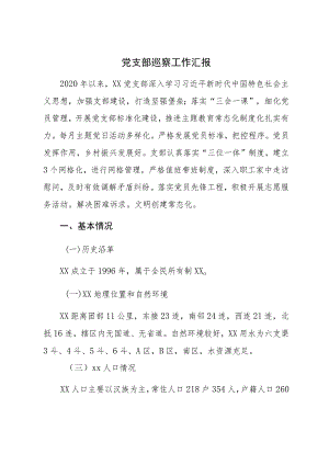 党支部巡察工作汇报.docx