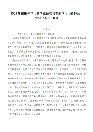 2023年在集体学习党内主题教育专题学习心得体会、研讨材料共20篇.docx