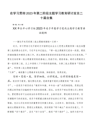 在学习贯彻2023年第二阶段主题学习教育研讨发言二十篇合集.docx
