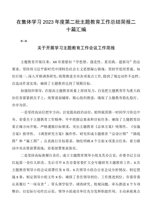 在集体学习2023年度第二批主题教育工作总结简报二十篇汇编.docx