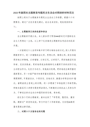 2023年副局长主题教育专题民主生活会对照剖析材料范文.docx