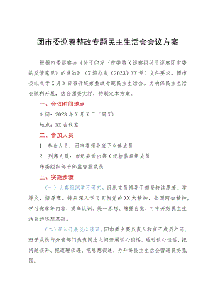 团市委巡察整改专题民主生活会会议方案.docx