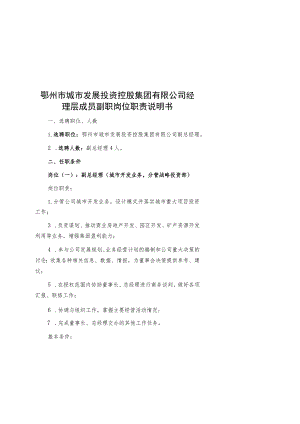 鄂州市城市发展投资控股集团有限公司经理层成员副职岗位职责说明书.docx