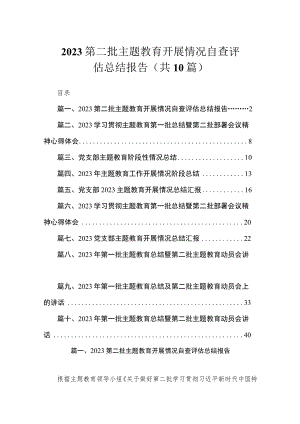 2023第二批主题教育开展情况自查评估总结报告（共10篇）.docx