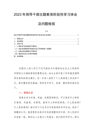 2023年领导干部主题教育阶段性学习体会及问题检视.docx