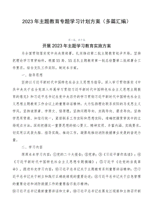 2023年主题教育专题学习计划方案（多篇汇编）.docx