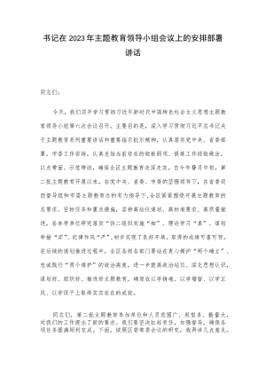 书记在2023年主题教育领导小组会议上的安排部署讲话.docx