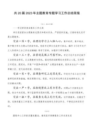 共20篇2023年主题教育专题学习工作总结简报.docx