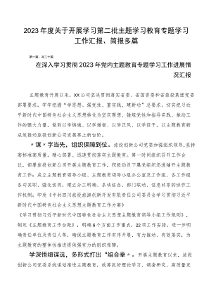 2023年度关于开展学习第二批主题学习教育专题学习工作汇报、简报多篇.docx