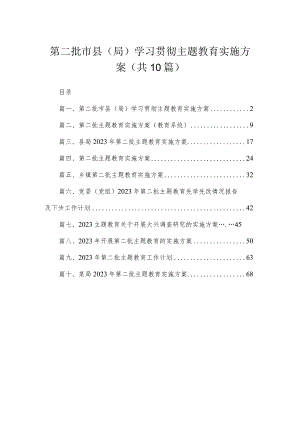 2023第二批市县（局）学习贯彻主题教育实施方案（共10篇）.docx