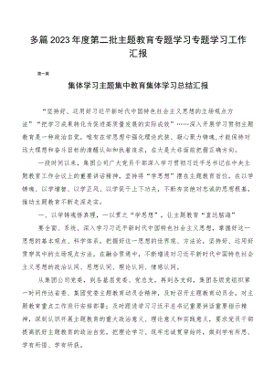 多篇2023年度第二批主题教育专题学习专题学习工作汇报.docx