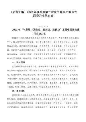 （多篇汇编）2023年度开展第二阶段主题集中教育专题学习实施方案.docx