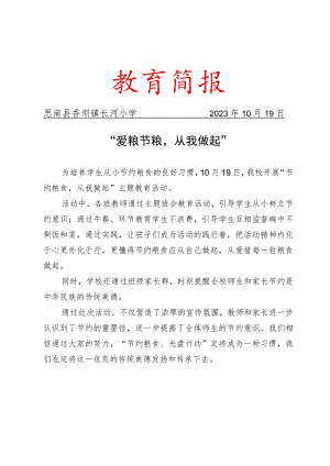 爱粮节粮简报.docx