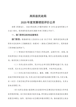 高阳县民政局2020年度预算绩效评价公开.docx