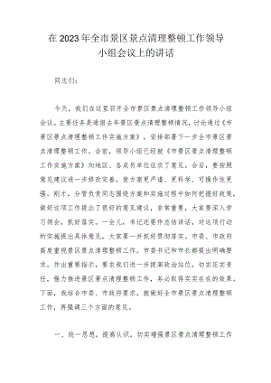 在2023年全市景区景点清理整顿工作领导小组会议上的讲话.docx