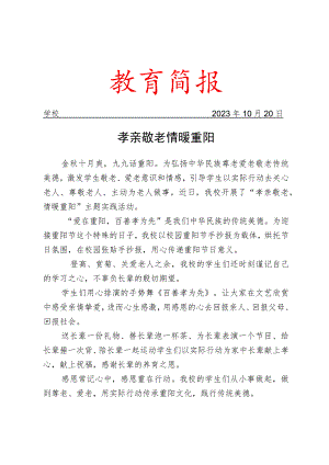 开展重阳节主题实践活动简报.docx