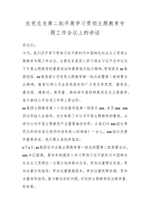 在党总支第二批开展学习贯彻主题教育专题工作会议上的讲话.docx