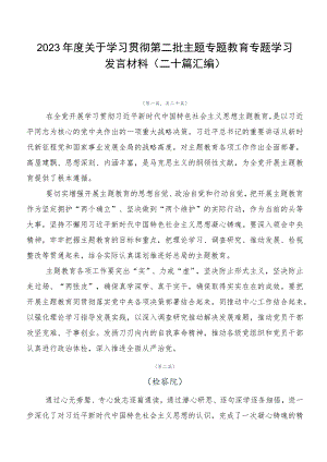 2023年度关于学习贯彻第二批主题专题教育专题学习发言材料（二十篇汇编）.docx