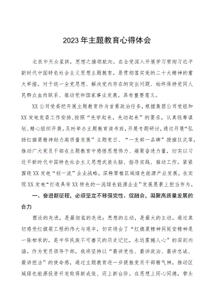 集团公司领导干部2023年主题教育心得体会九篇.docx
