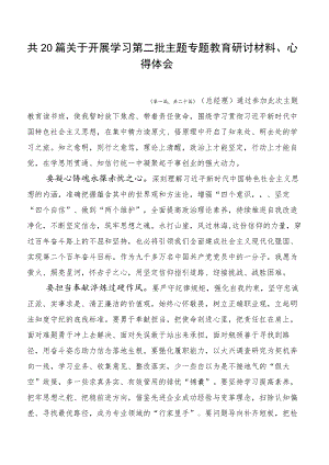 共20篇关于开展学习第二批主题专题教育研讨材料、心得体会.docx